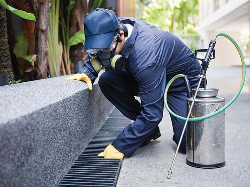 Automatic Pest Control System