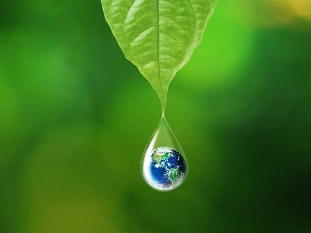 Saving Water: Saving Money
