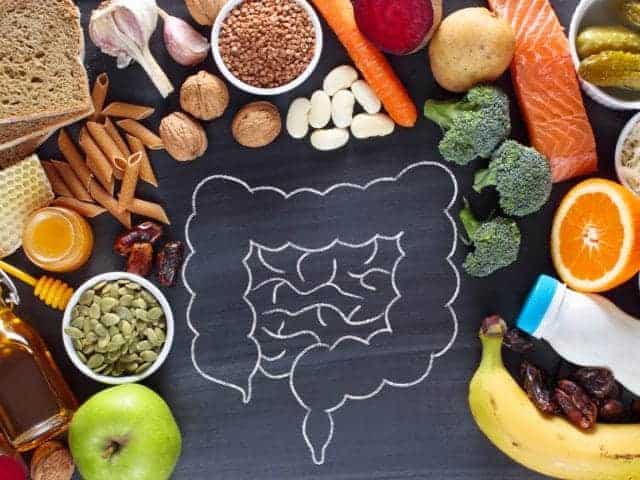 Well-Balanced Digestive System